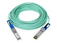 NETGEAR - Cable de conexión directa 10GBase - SFP+ (M) a SFP+ (M) - 7 m - biaxial - activo AXC767-10000S