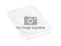 Dataram Enterprise Class 500 Series EC500S5 - SSD - cifrado - 960 GB - interno - 2.5" - SATA 6Gb/s - AES de 256 bits EC500S5AT/960G