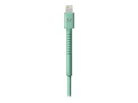 Fresh 'n Rebel - Cable Lightning - Lightning macho a USB macho - 1.5 m - menta brumosa - para Apple iPad/iPhone/iPod (Lightning) 2ULC150MM