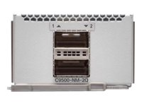 Cisco Catalyst 9500 Series Network Module - Módulo de expansión - 40 Gigabit QSFP+ x 2 - para P/N: C9500-40X-10A, C9500-40X-10E, C9500-40X-1E C9500-NM-2Q=